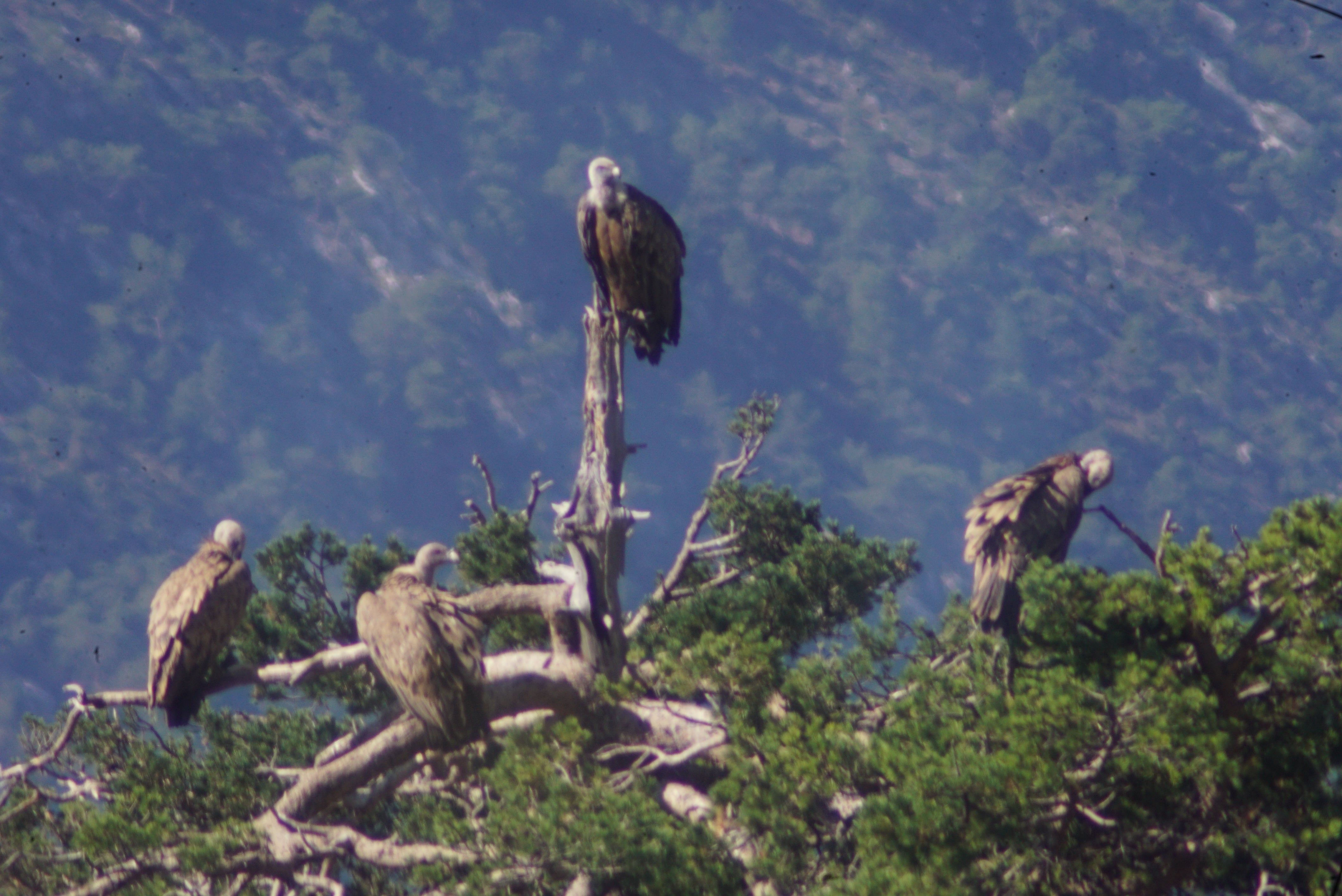 Schattenspiele der Schmuggler- Pyrenäen 4x4‎ All Inklusive